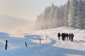 Winter-Walking