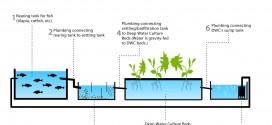 Aquaponics Overview