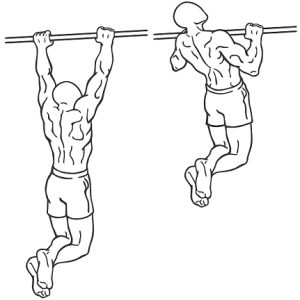 Chin Ups | fitnesstipoftheday.net